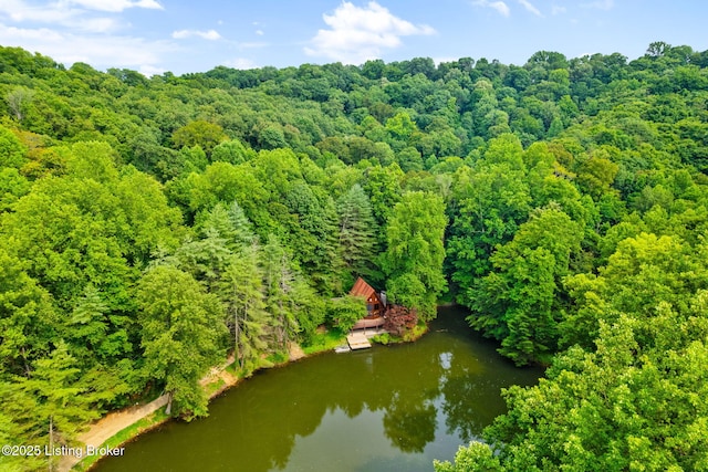 14601 Pauleys Gap Rd, Louisville, KY 40272 - photo 70