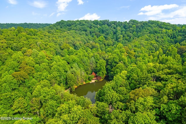 14601 Pauleys Gap Rd, Louisville, KY 40272 - photo 71