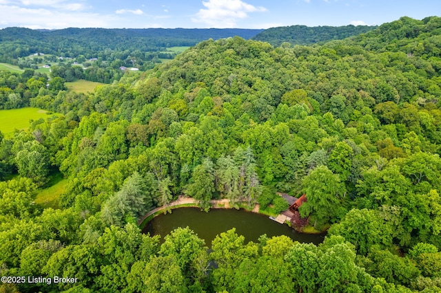 14601 Pauleys Gap Rd, Louisville, KY 40272 - photo 69