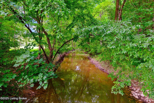 14601 Pauleys Gap Rd, Louisville, KY 40272 - photo 62