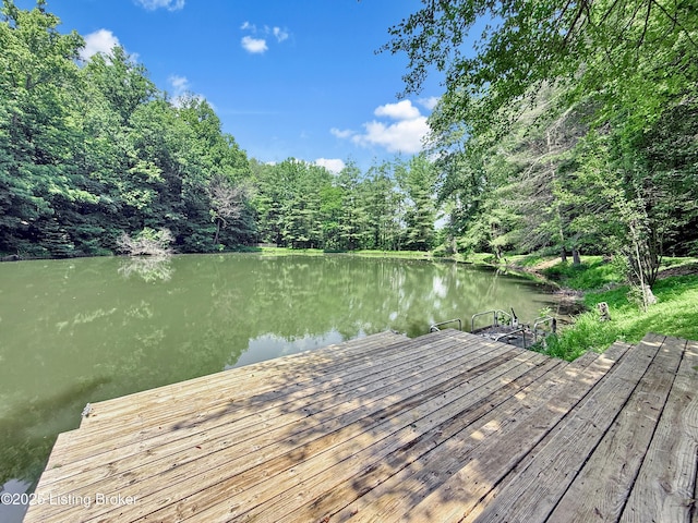 14601 Pauleys Gap Rd, Louisville, KY 40272 - photo 3