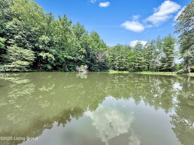 14601 Pauleys Gap Rd, Louisville, KY 40272 - photo 58