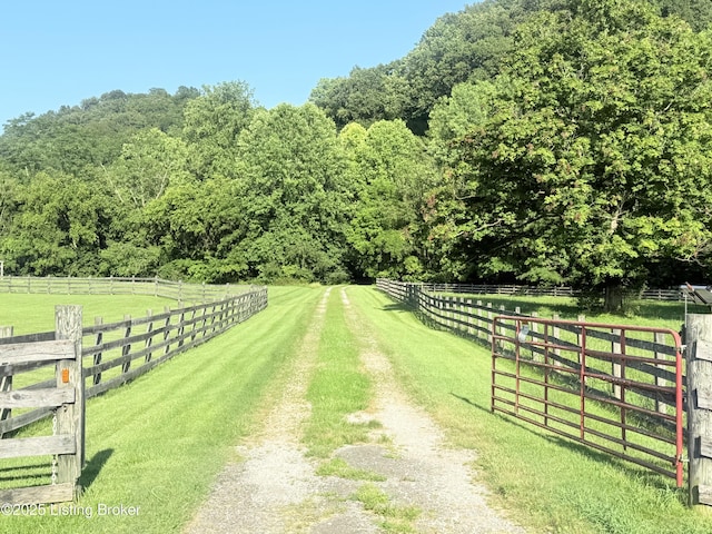14601 Pauleys Gap Rd, Louisville, KY 40272 - photo 64