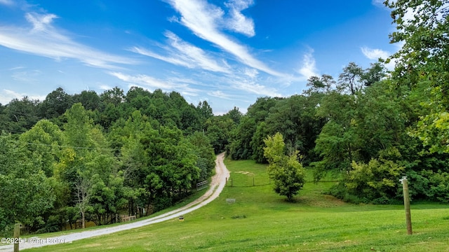 448 Rock Creek Rd, Big Clifty, KY 42712 - photo 36