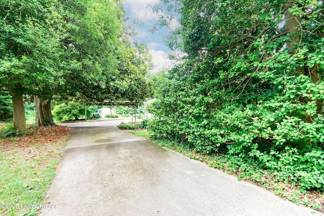 4800 Miles Ln, Louisville, KY 40219 - photo 3