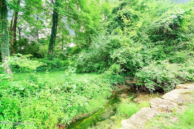 4800 Miles Ln, Louisville, KY 40219 - photo 76