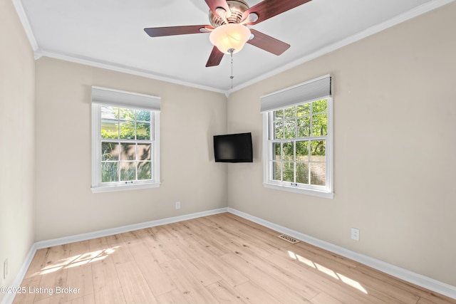 8409 Bayou Way, Louisville, KY 40242 - photo 34