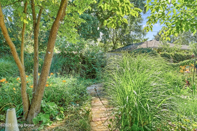 8409 Bayou Way, Louisville, KY 40242 - photo 51