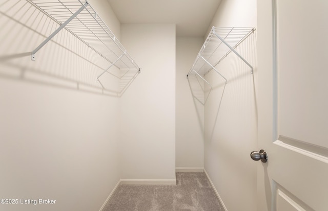 7505 Fair Ln, Louisville, KY 40291 - photo 17
