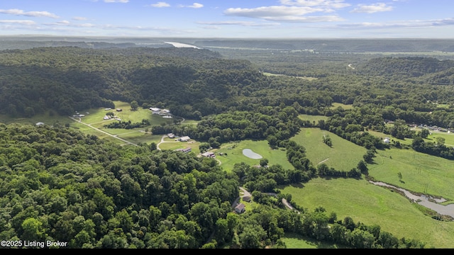 294 Cupio Ln, West Point, KY 40177 - photo 6