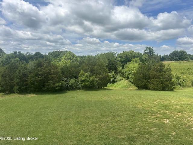 9530 Rocky Creek Ln, Louisville, KY 40299 - view of green lawn