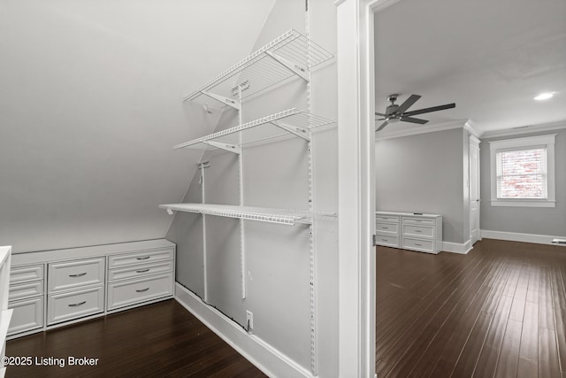 217 Shawnee Dr, Louisville, KY 40212 - spacious closet with ceiling fan and dark wood-style flooring