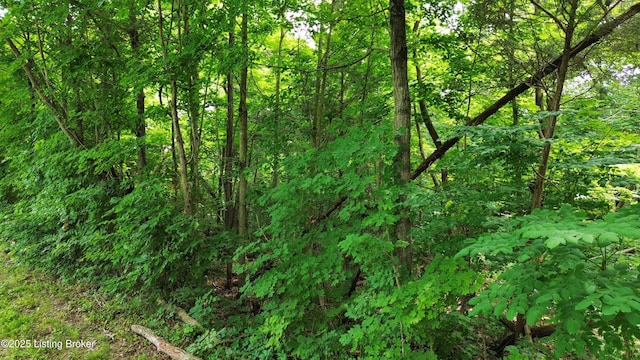 1429 Gossom Ln, Milton, KY 40045 - photo 2