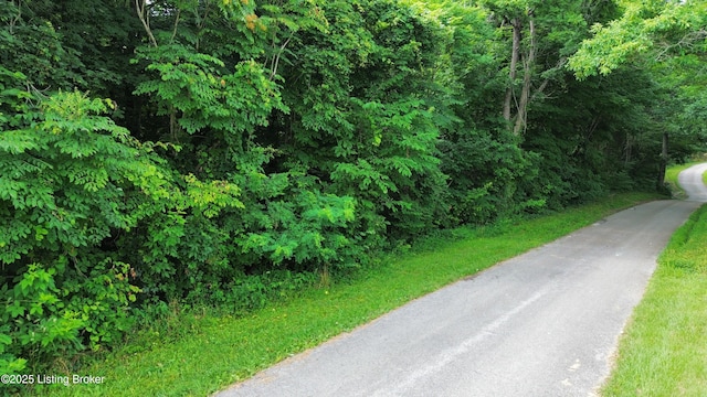 1429 Gossom Ln, Milton, KY 40045 - photo 1