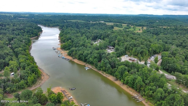 3 S Lakeside Dr, Leitchfield, KY 42754