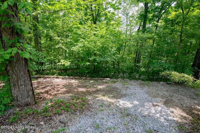 3 S Lakeside Dr, Leitchfield, KY 42754