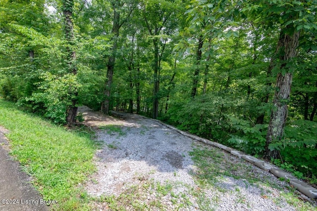 3 S Lakeside Dr, Leitchfield, KY 42754