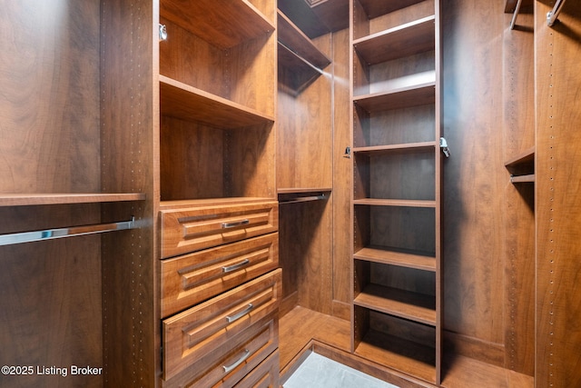 13702 Beowulf Ct, Louisville, KY 40299 - view of walk in closet