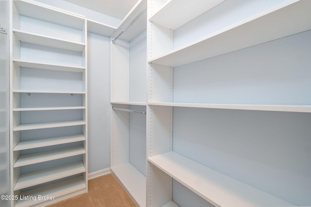 13702 Beowulf Ct, Louisville, KY 40299 - walk in closet with light colored carpet