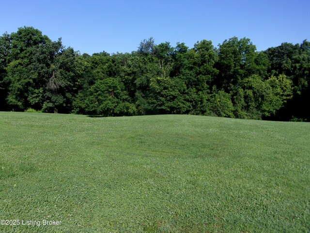 7170 Lawrenceburg Rd, Chaplin, KY 40012 - photo 38