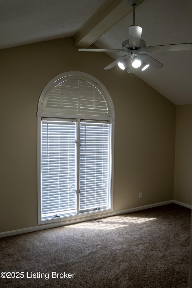 501 Sam Dr, Louisville, KY 40214 - photo 34
