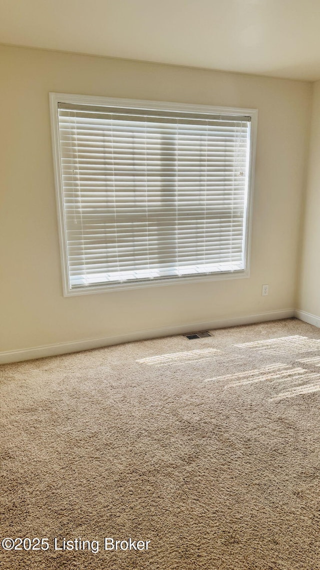 17038 Green Crest Ln, Louisville, KY 40245 - photo 26