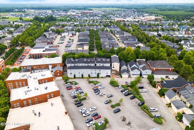 10600 Norton Commons Walk, Prospect, KY 40059 - bird's eye view