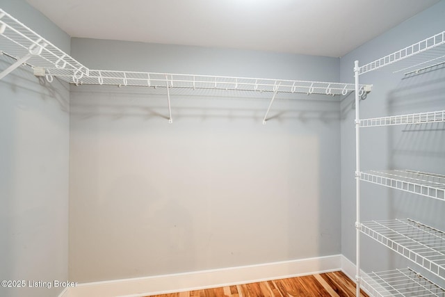 415 E Market St Unit 104, Louisville, KY 40202 - walk in closet with wood finished floors
