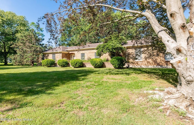 606 N Arbor Dr, Louisville, KY 40223 - view of front of house with brick siding and a front lawn
