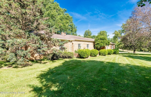 606 N Arbor Dr, Louisville, KY 40223 - view of green lawn