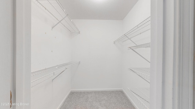 410 Ethridge Ave Unit 103, Louisville, KY 40223 - spacious closet with light colored carpet