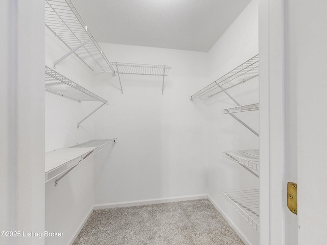410 Ethridge Ave Unit 103, Louisville, KY 40223 - walk in closet with light carpet
