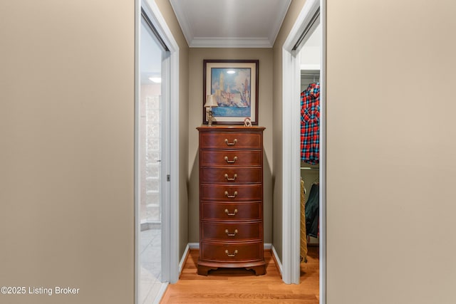3012 Hayfield Dr, Louisville, KY 40205 - hallway featuring light wood finished floors and crown molding