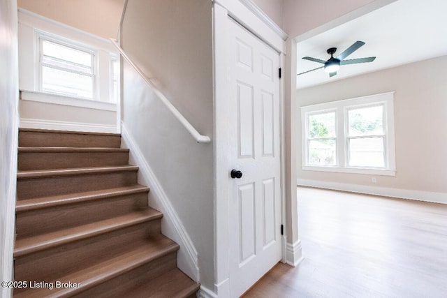 412 Gwendolyn St, Louisville, KY 40203 - stairs with a ceiling fan and wood finished floors
