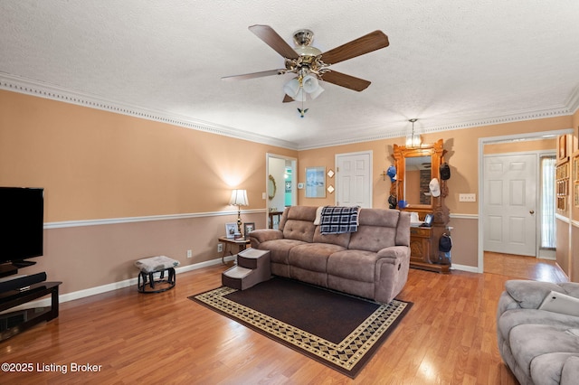 3941 Scenic Trl, Shepherdsville, KY 40165 - living area featuring light wood-style flooring, a textured ceiling, ceiling fan, and crown molding