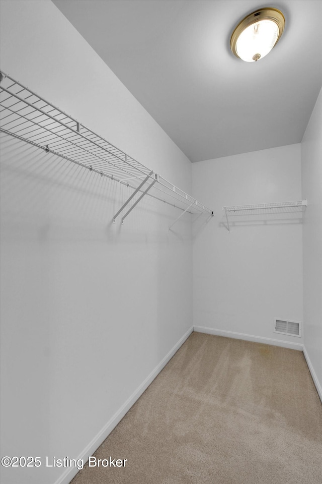 7728 Cottage Cove Way, Louisville, KY 40214 - walk in closet with carpet flooring
