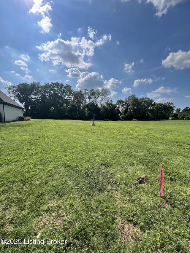 000 Loch Lea Ln, Louisville, KY 40299 - photo 4