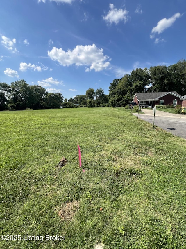 000 Loch Lea Ln, Louisville, KY 40299 - photo 5