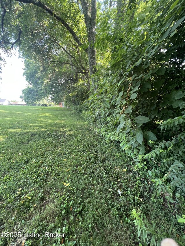 000 Loch Lea Ln, Louisville, KY 40299 - photo 11