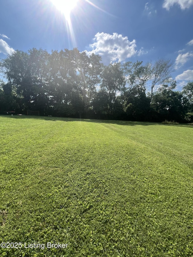 000 Loch Lea Ln, Louisville, KY 40299 - photo 19
