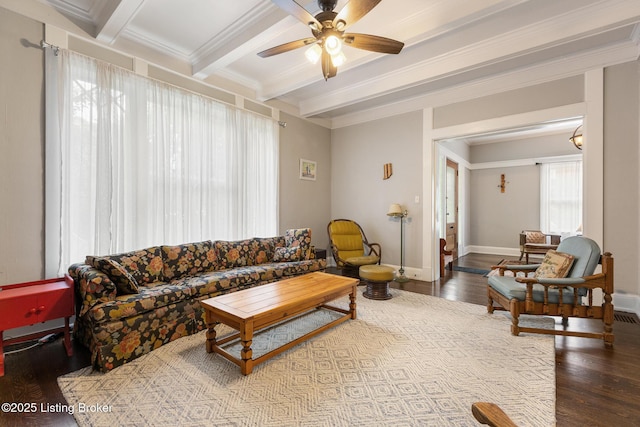 1246 Ormsby Ct, Louisville, KY 40203 - living room with beamed ceiling, ceiling fan, wood finished floors, and crown molding