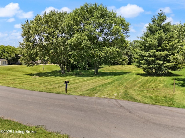 305 Pollitt Cir, New Castle, KY 40050 - photo 3