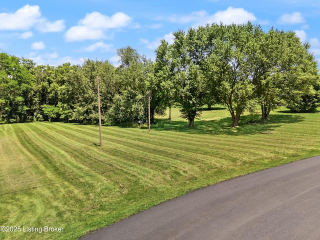 305 Pollitt Cir, New Castle, KY 40050 - photo 4