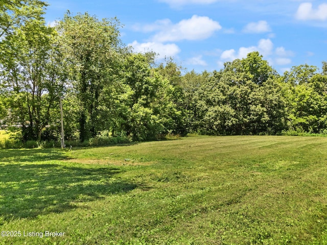 305 Pollitt Cir, New Castle, KY 40050 - photo 5