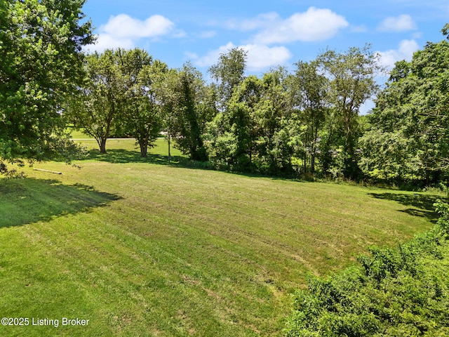 305 Pollitt Cir, New Castle, KY 40050 - photo 6