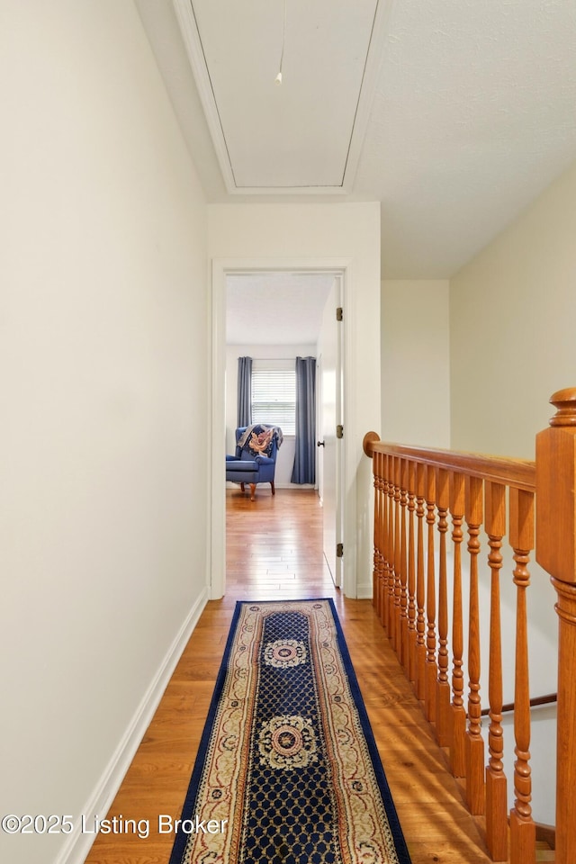 8134 Lake Ter, Louisville, KY 40222 - photo 21
