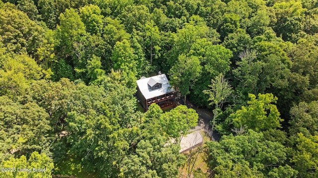 422 Lilac Ln, Cub Run, KY 42729 - view from above of property featuring a heavily wooded area