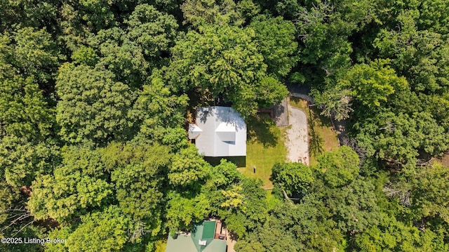 422 Lilac Ln, Cub Run, KY 42729 - aerial view of property and surrounding area