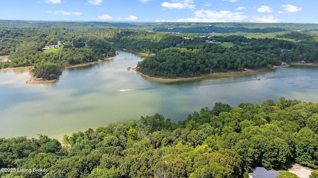 422 Lilac Ln, Cub Run, KY 42729 - drone / aerial view of a forest and a large body of water