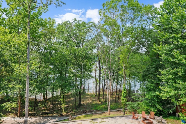 422 Lilac Ln, Cub Run, KY 42729 - view of undeveloped land